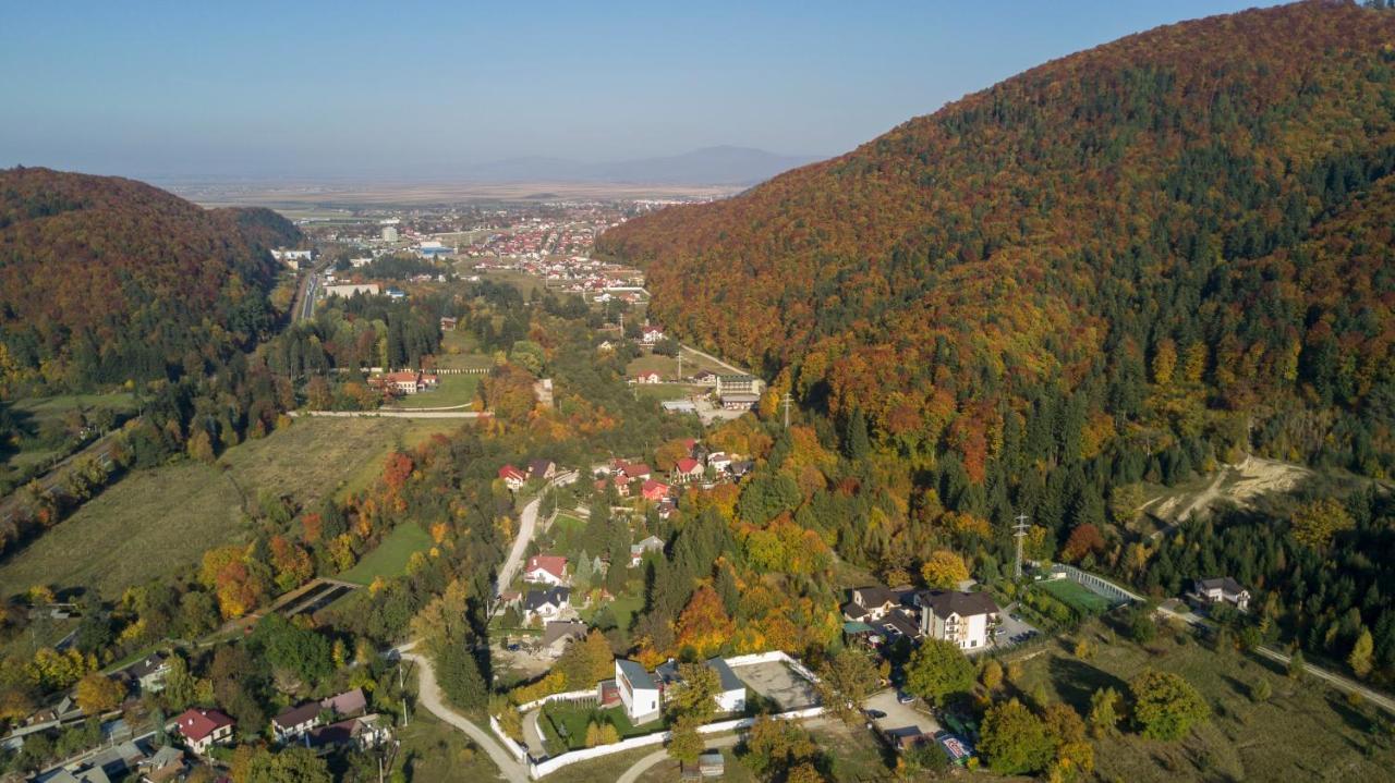 3 Stejari Brasov Hotel Timisu de Jos Exterior photo