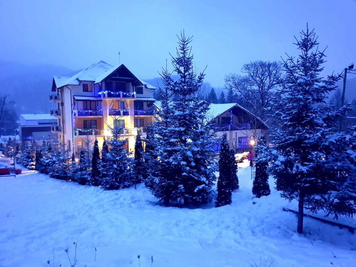 3 Stejari Brasov Hotel Timisu de Jos Exterior photo